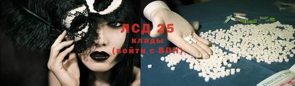 крисы Аркадак