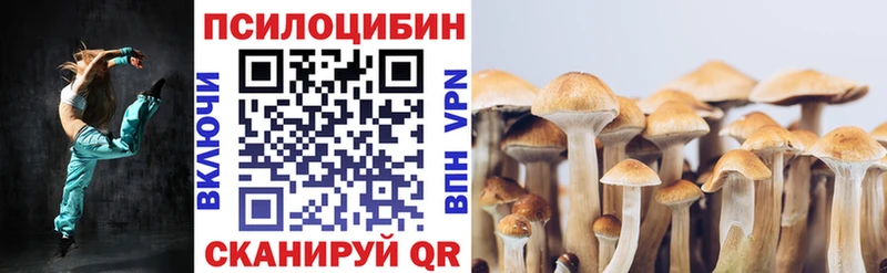 сайты даркнета наркотические препараты  купить наркоту  Киселёвск  Псилоцибиновые грибы мицелий 