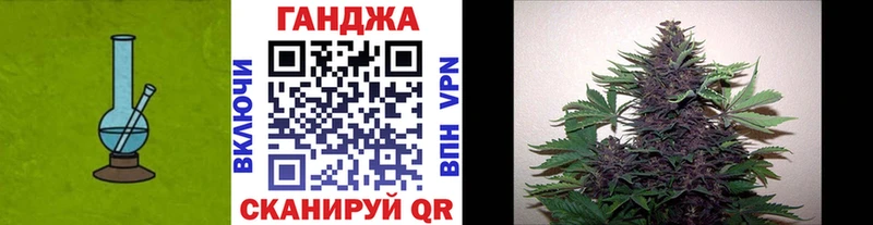где можно купить   Киселёвск  МАРИХУАНА SATIVA & INDICA 